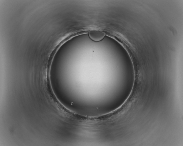 X0000113611220200909181412