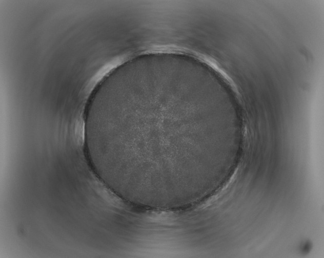 X0000113611221200909181412