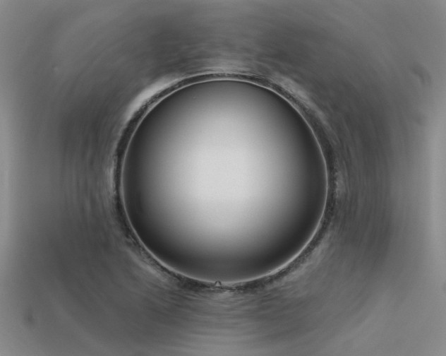 X0000113611222200909181412