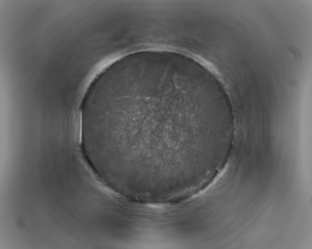 X0000113611223200909181412