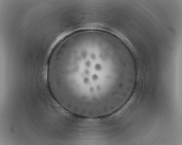 X0000113611224200909181412