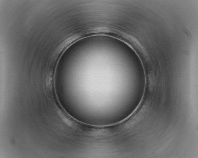 X0000113611225200909181412