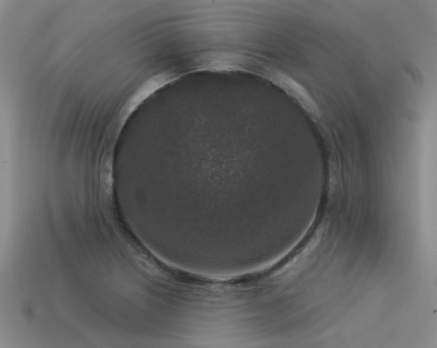 X0000113611226200909181412