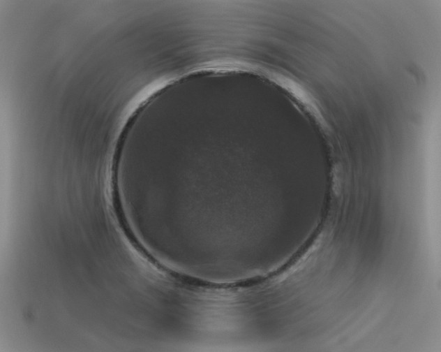 X0000113611229200909181412