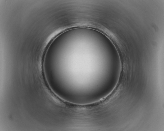 X0000113611230200909181412