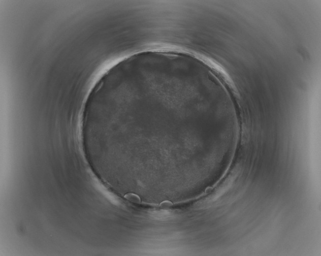 X0000113611231200909181412
