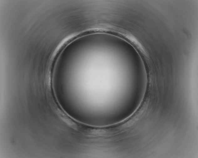X0000113611232200909181412