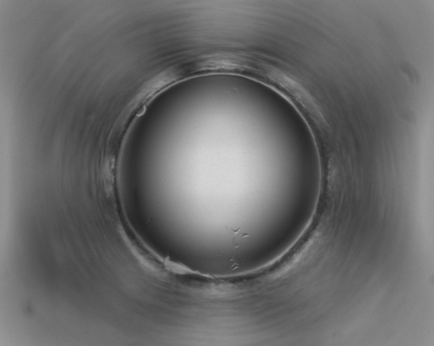 X0000113611233200909181412