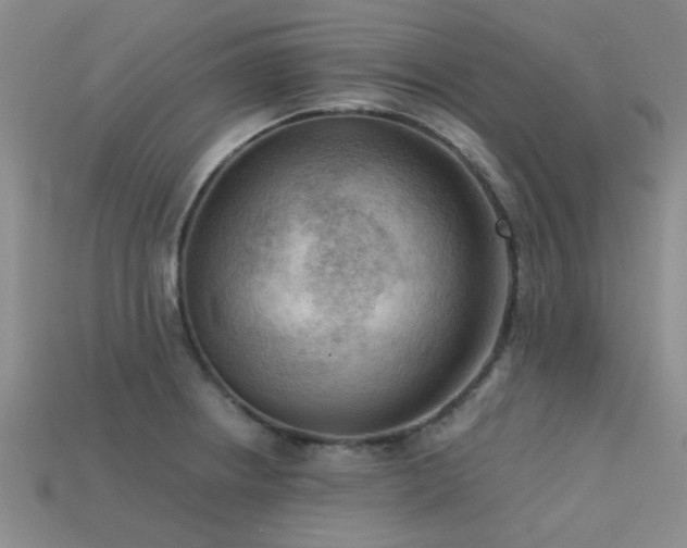 X0000113611234200909181412