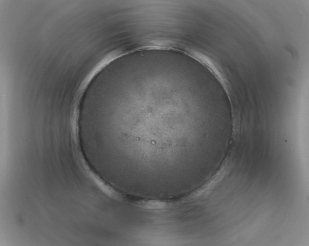 X0000113611235200909181412