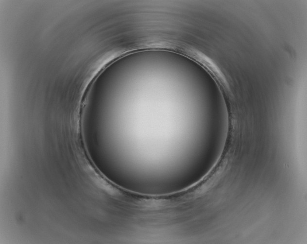 X0000113611236200909181412