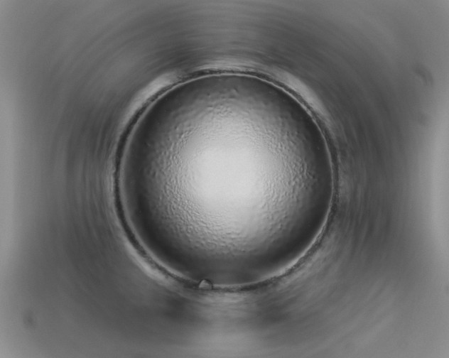 X0000113611237200909181412