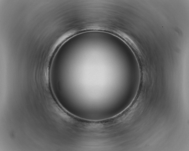 X0000113611238200909181412