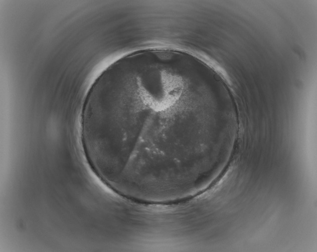 X0000113611239200909181412
