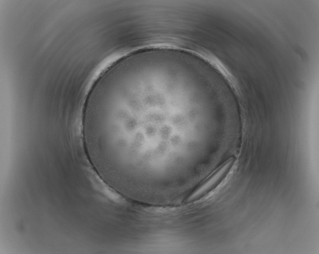 X0000113611240200909181412
