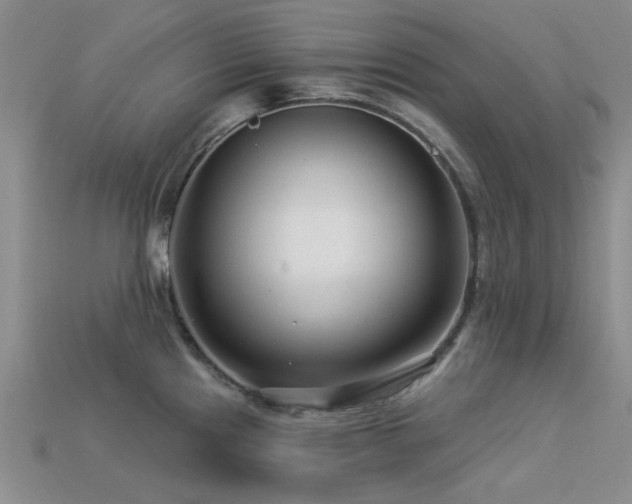 X0000113611241200909181412