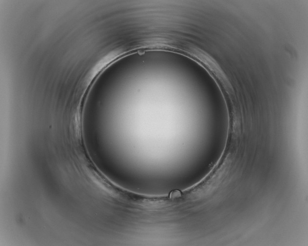 X0000113611242200909181412