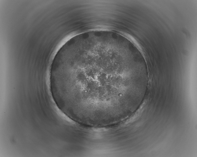 X0000113611243200909181412