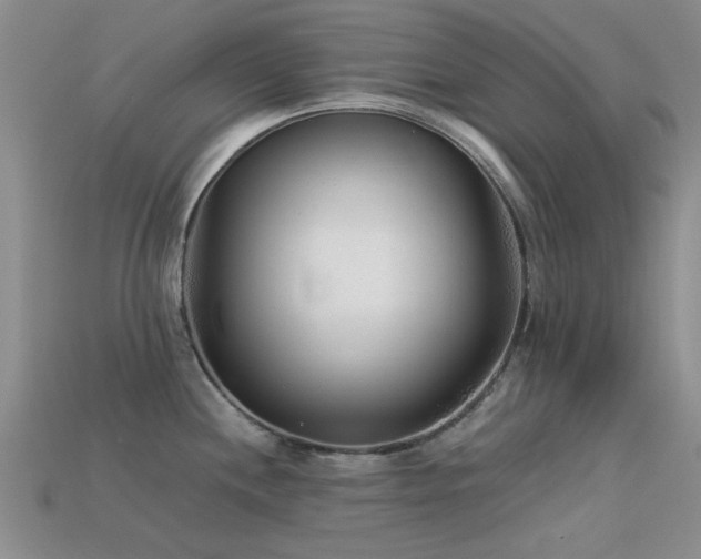 X0000113611244200909181412