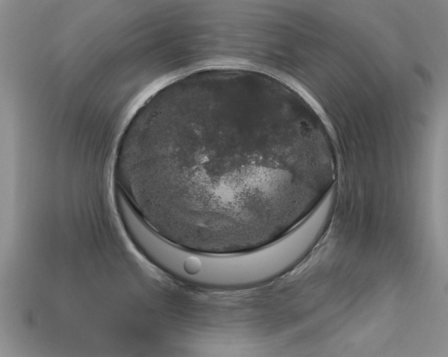 X0000113611245200909181412