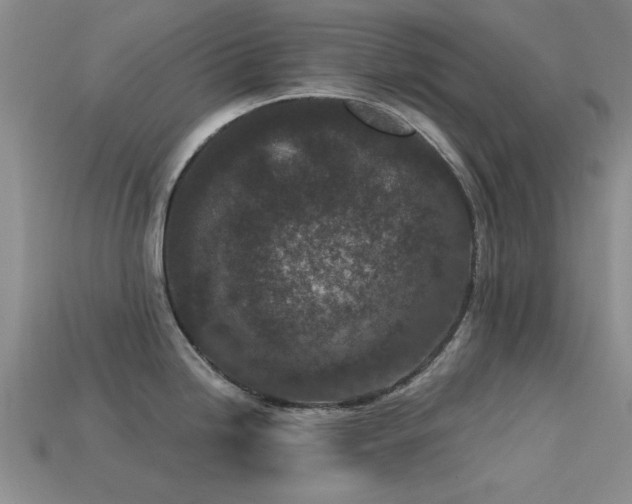 X0000113611246200909181412