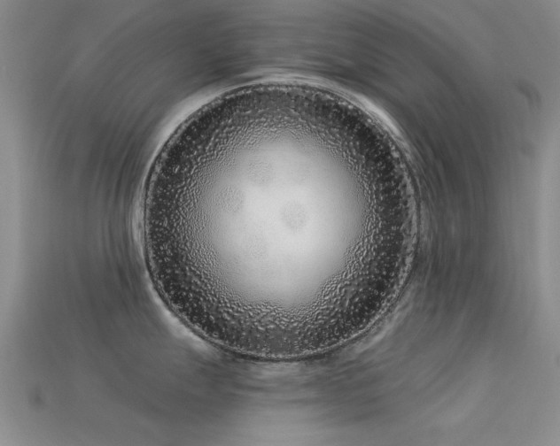 X0000113611247200909181412