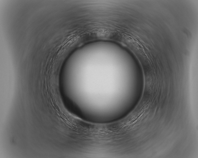 X0000113611249200909181412