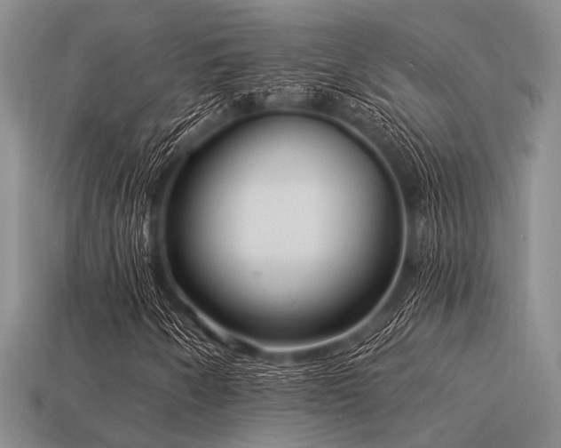 X0000113611250200909181412