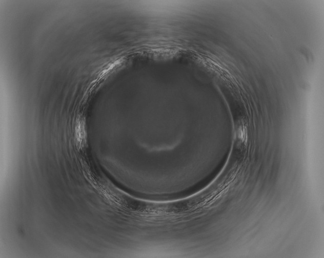 X0000113611252200909181412