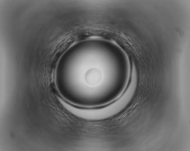 X0000113611253200909181412
