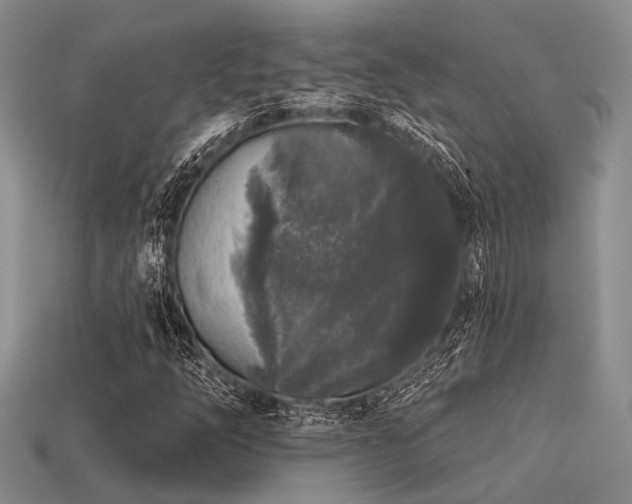 X0000113611254200909181412