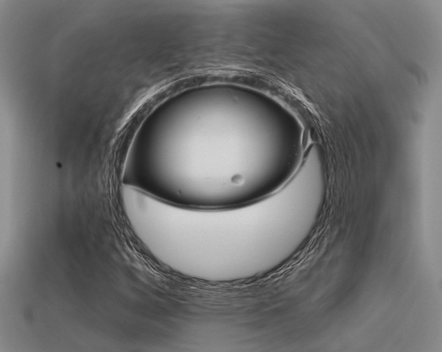 X0000113611256200909181412