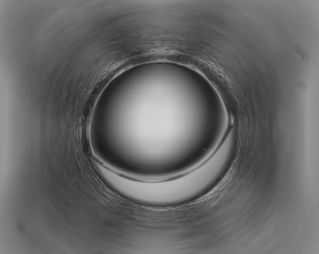 X0000113611257200909181412