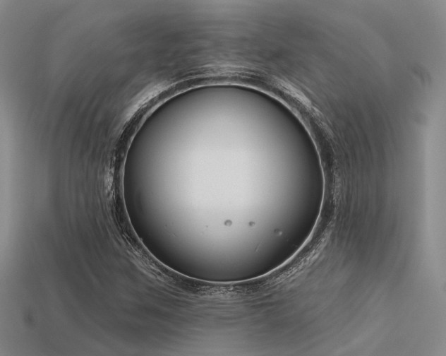 X0000113611259200909181412