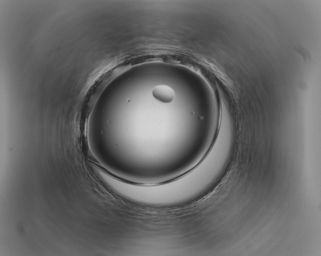 X0000113611261200909181412