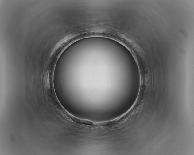 X0000113611262200909181412