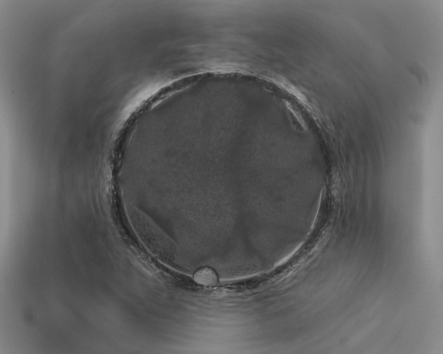 X0000113611263200909181412
