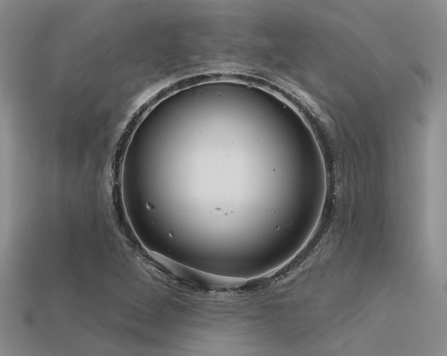 X0000113611264200909181412