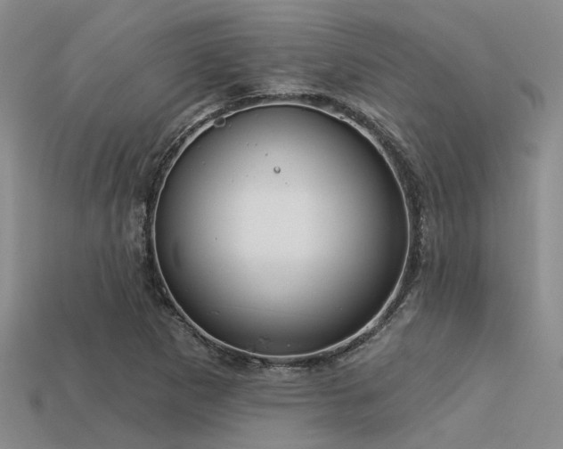 X0000113611265200909181412