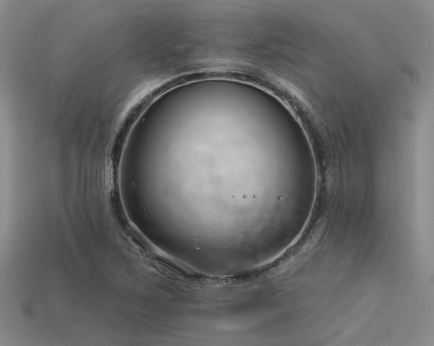 X0000113611267200909181412