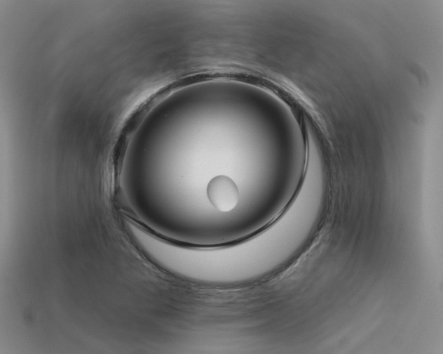 X0000113611269200909181412