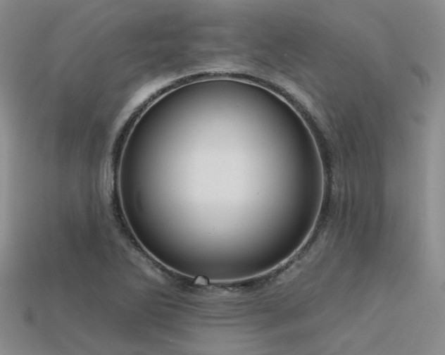 X0000113611270200909181412