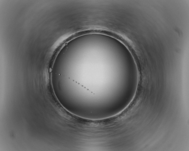 X0000113611271200909181412