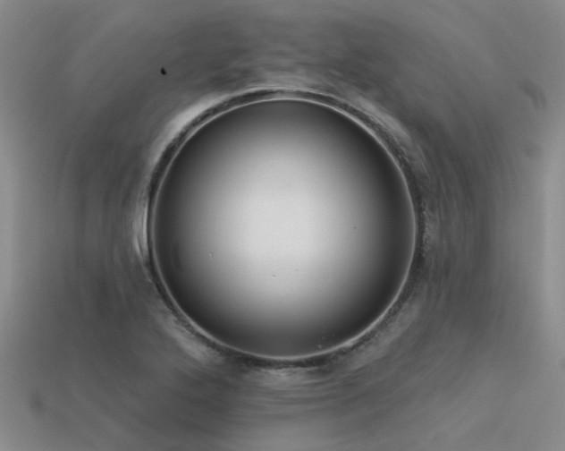 X0000113611272200909181412