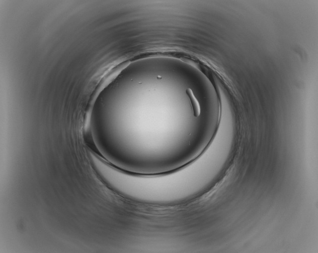 X0000113611273200909181412