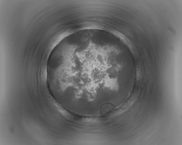 X0000113611274200909181412