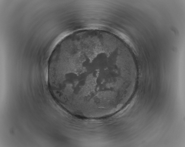 X0000113611275200909181412