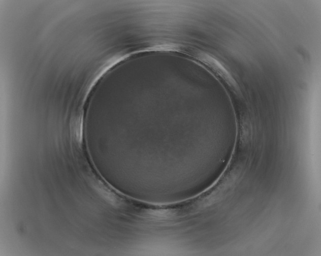 X0000113611276200909181412