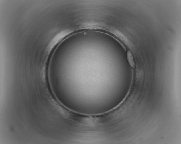 X0000113611277200909181412