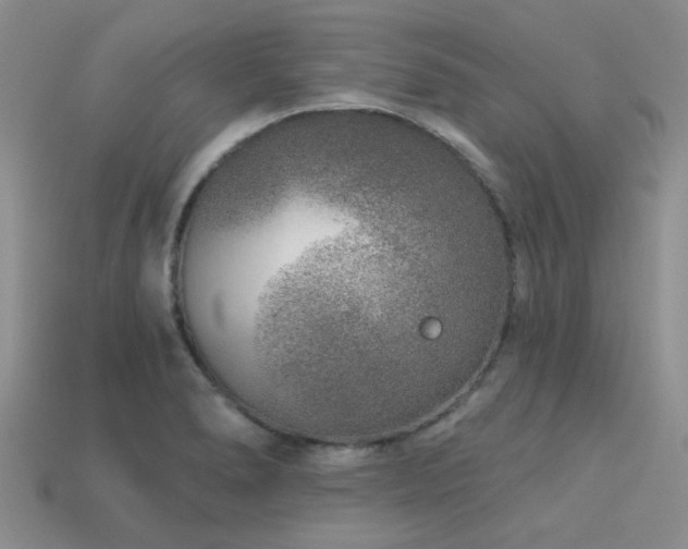 X0000113611278200909181412